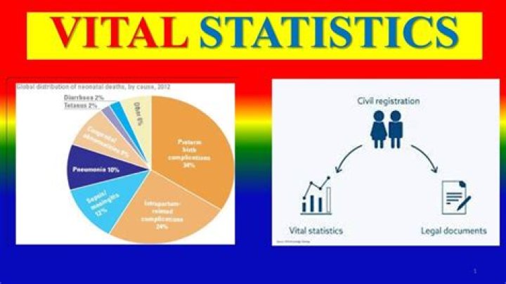 Exploring Tyla's Vital Statistics: The Complete Guide