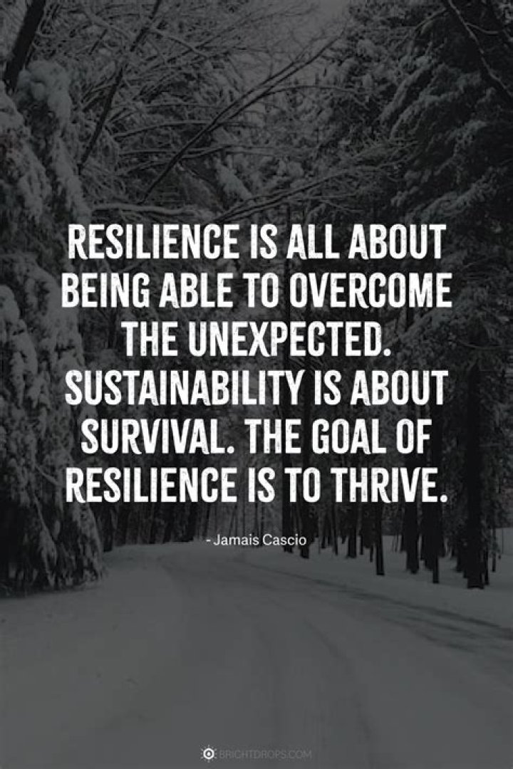 Molly Joblitt: A Journey Through Inspiration And Resilience